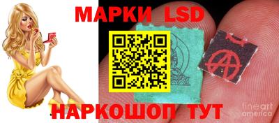 гидропоника Обнинск