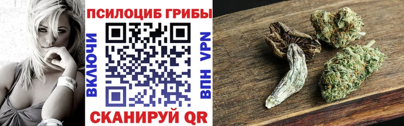 Галлюциногенные грибы ЛСД  где купить наркоту  Химки 