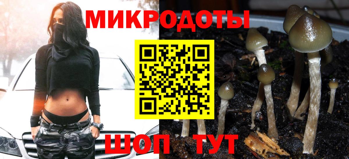 Псилоцибиновые грибы GOLDEN TEACHER Химки