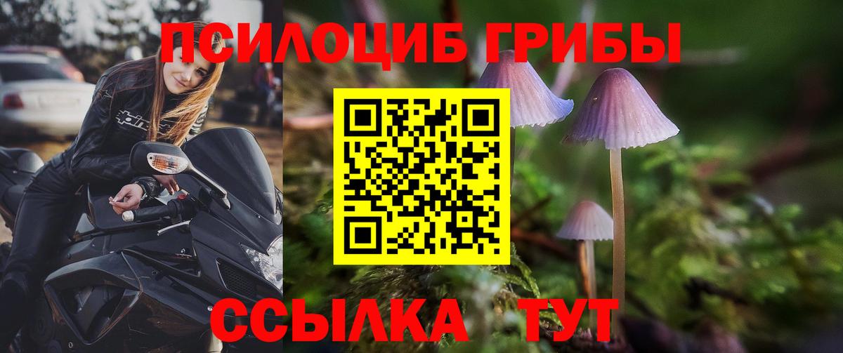 Химки  Галлюциногенные грибы MAGIC MUSHROOMS  Вход с VPN 